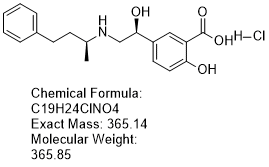 lab